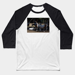 Horns In The Sun Baseball T-Shirt